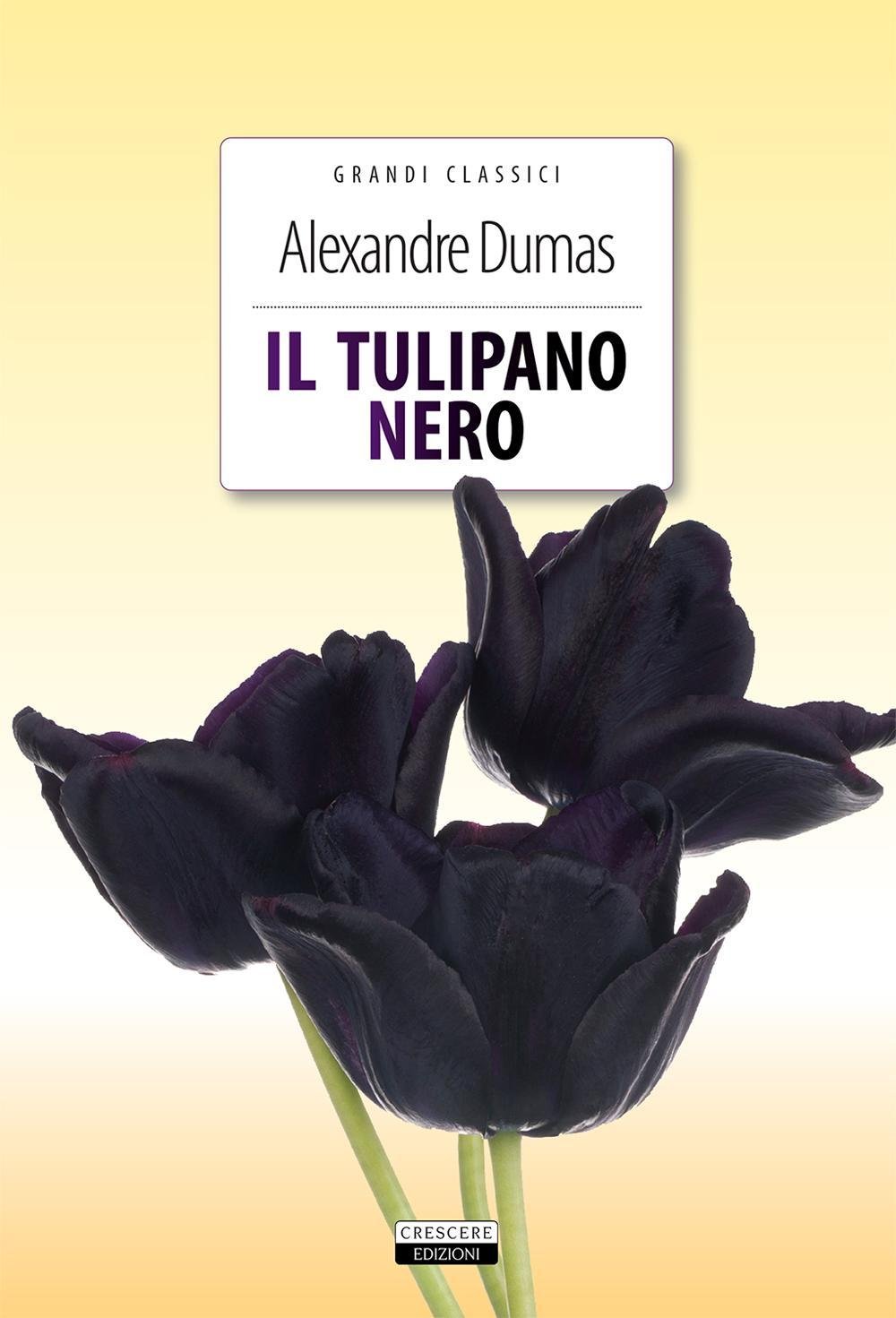 Il Tulipano Nero